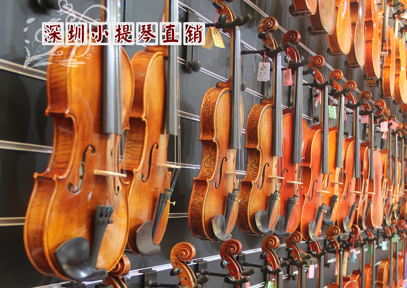 成年人学习大提琴还是小提琴更容易 - 知乎